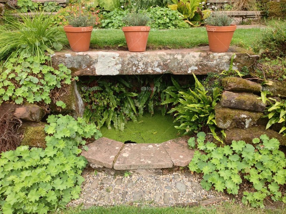 Garden feature