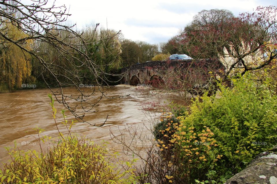 River Exe at Bickleigh