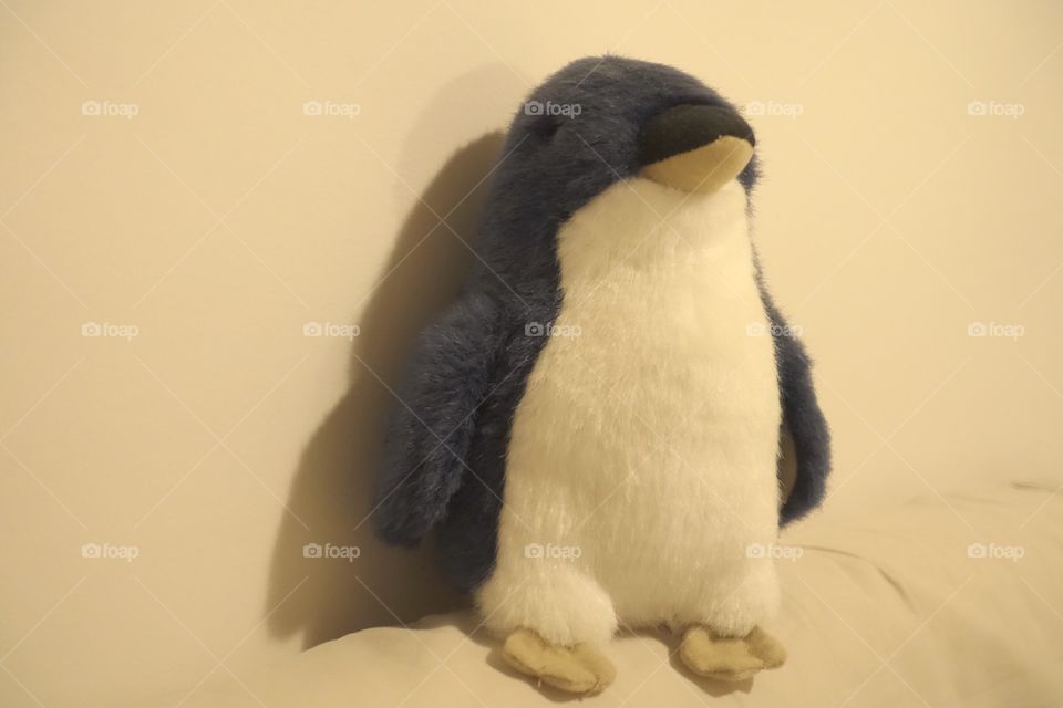 Penguin’s soft toy.
