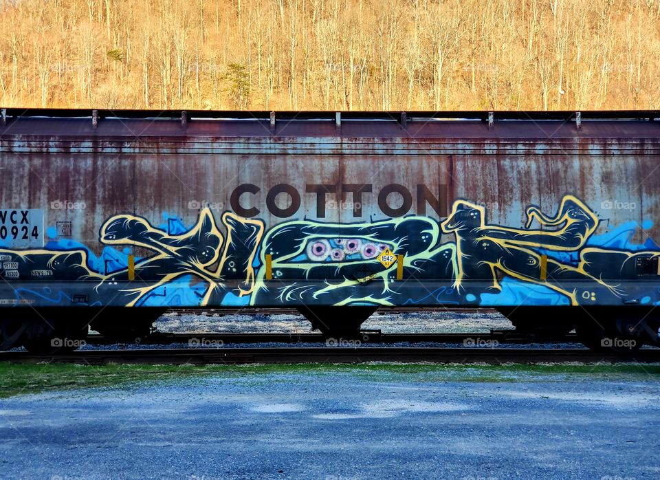 graffitied train