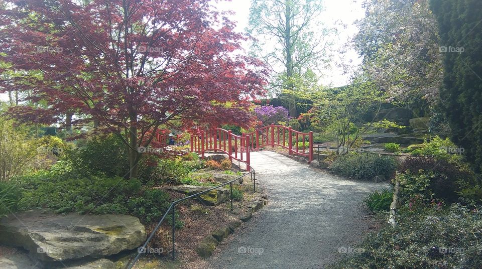 Oriental garden, Chester zoo