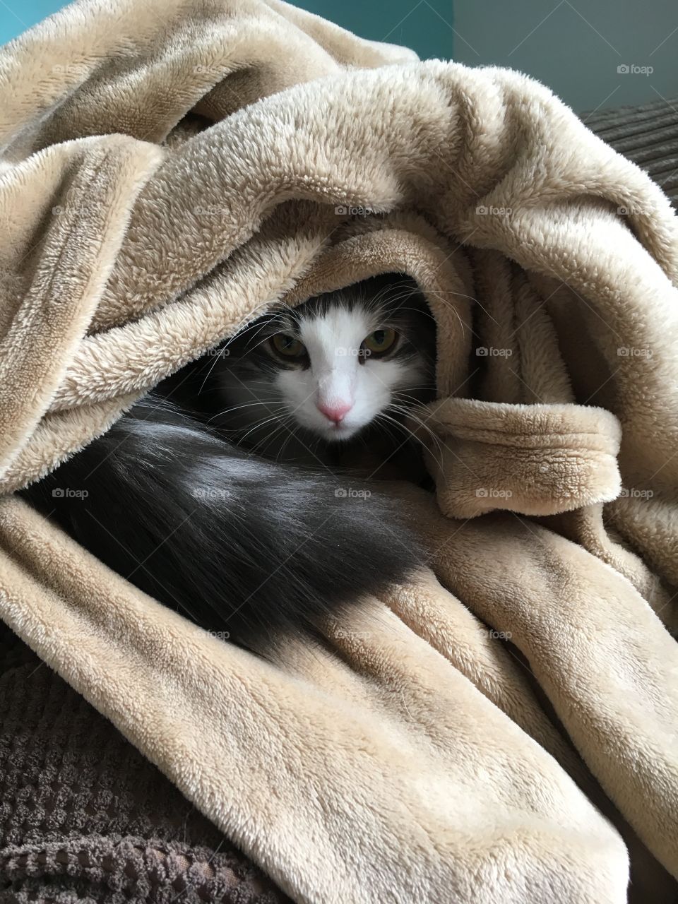 Hiding under a blanket 
