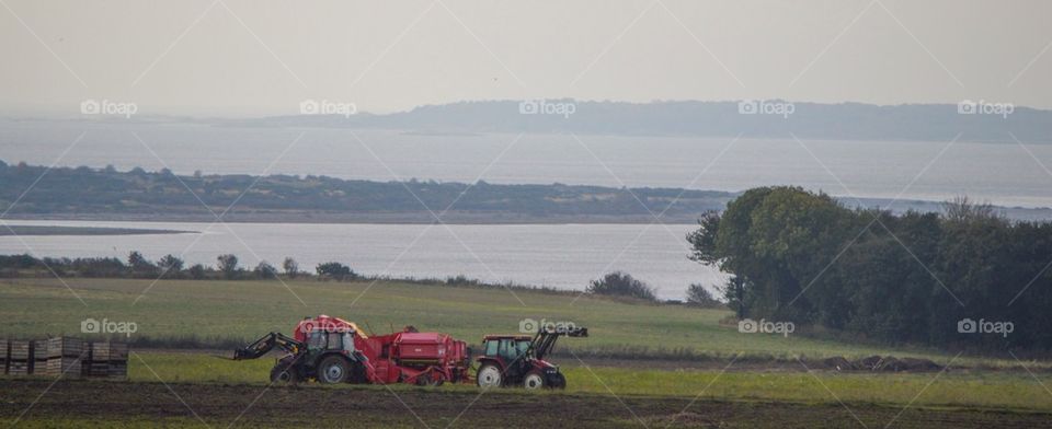 Vy över den skånska slätten