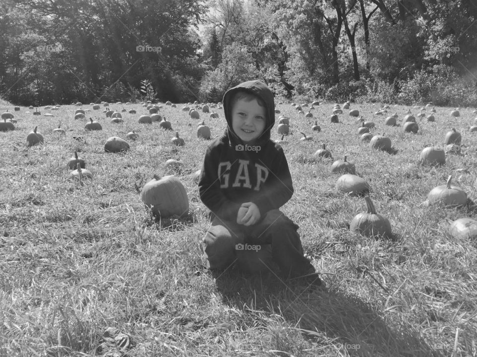 Portrait of boy in pumpkin patch