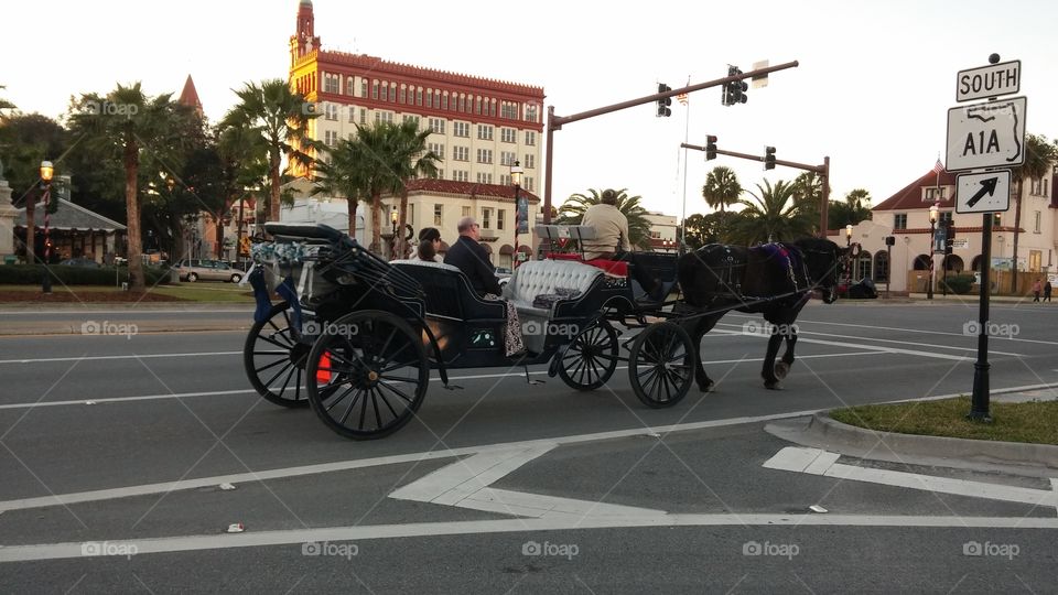 Horse and Carriage on A1A
