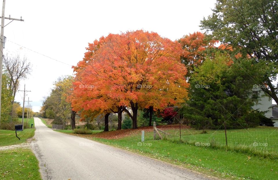 Autumn comes to rural Indiana