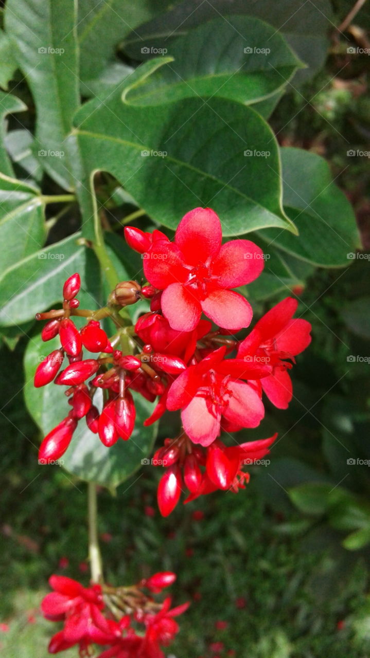 nature create beauty