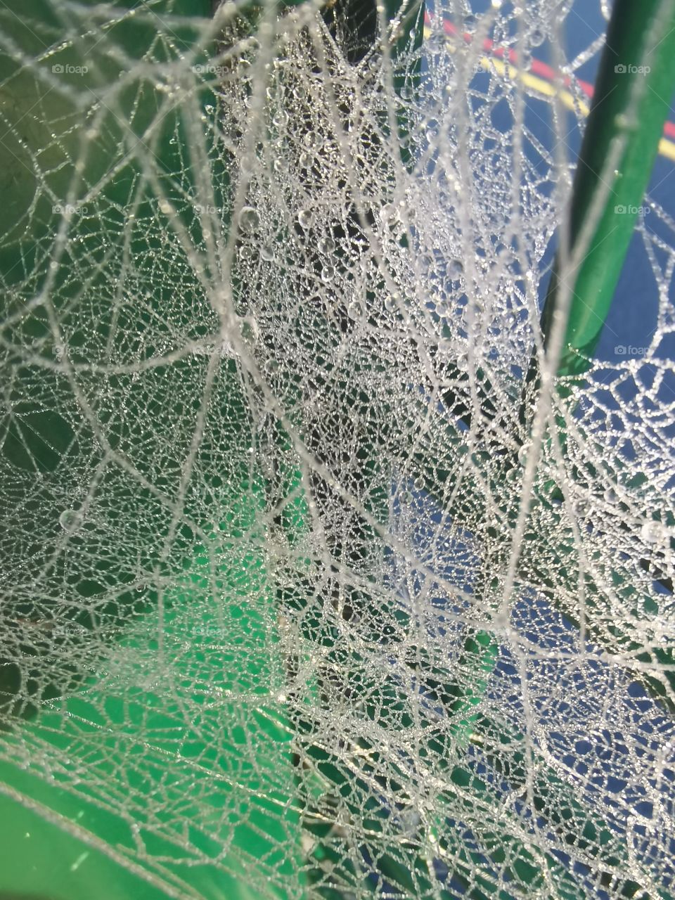 Freezy spiderweb