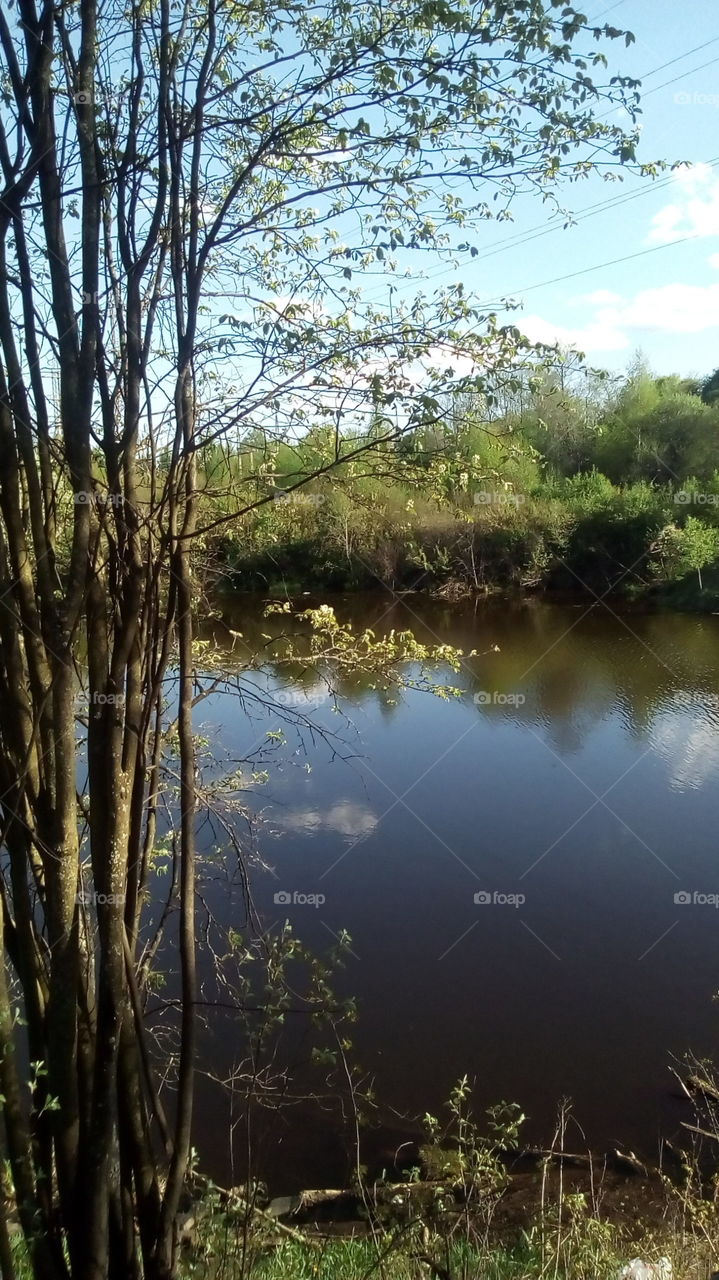 Летний пруд