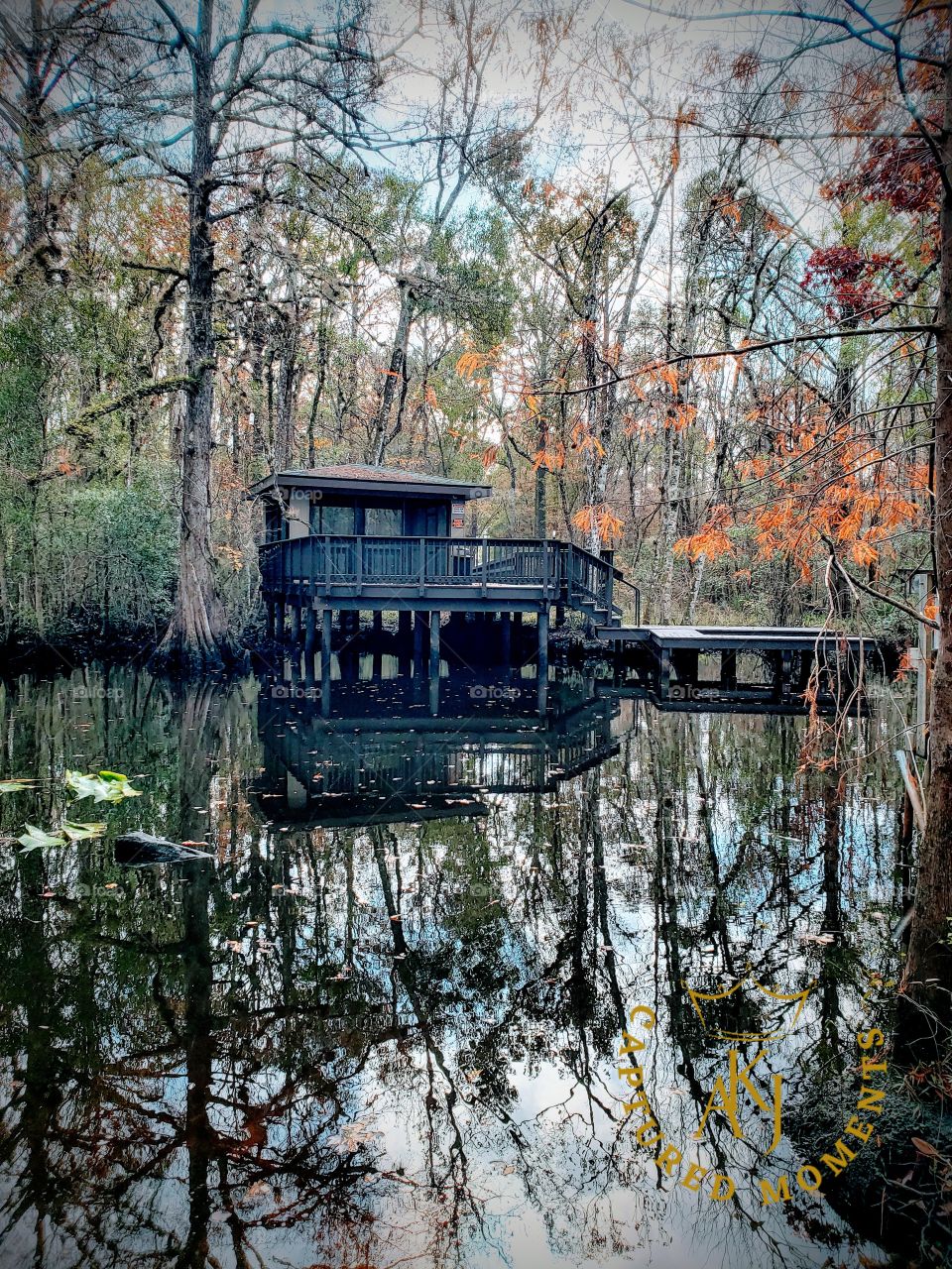 Fall colors on the creek