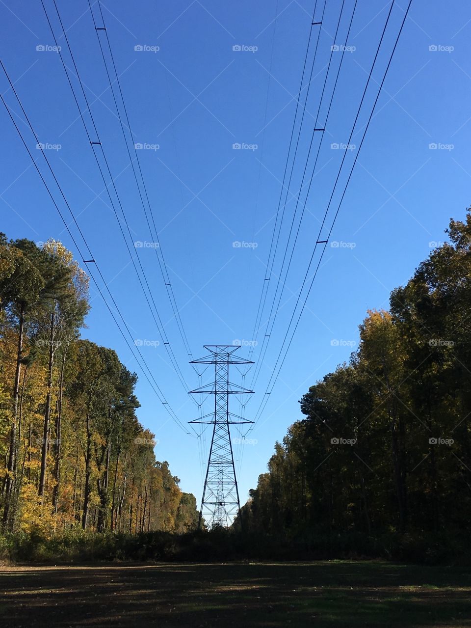 Power lines and towers