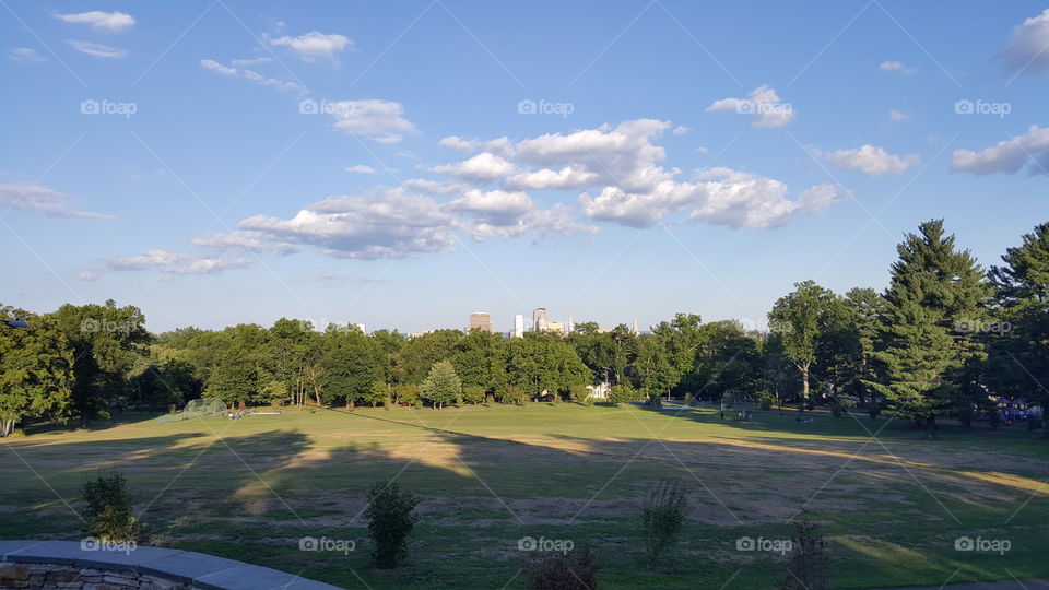 Park Landscape