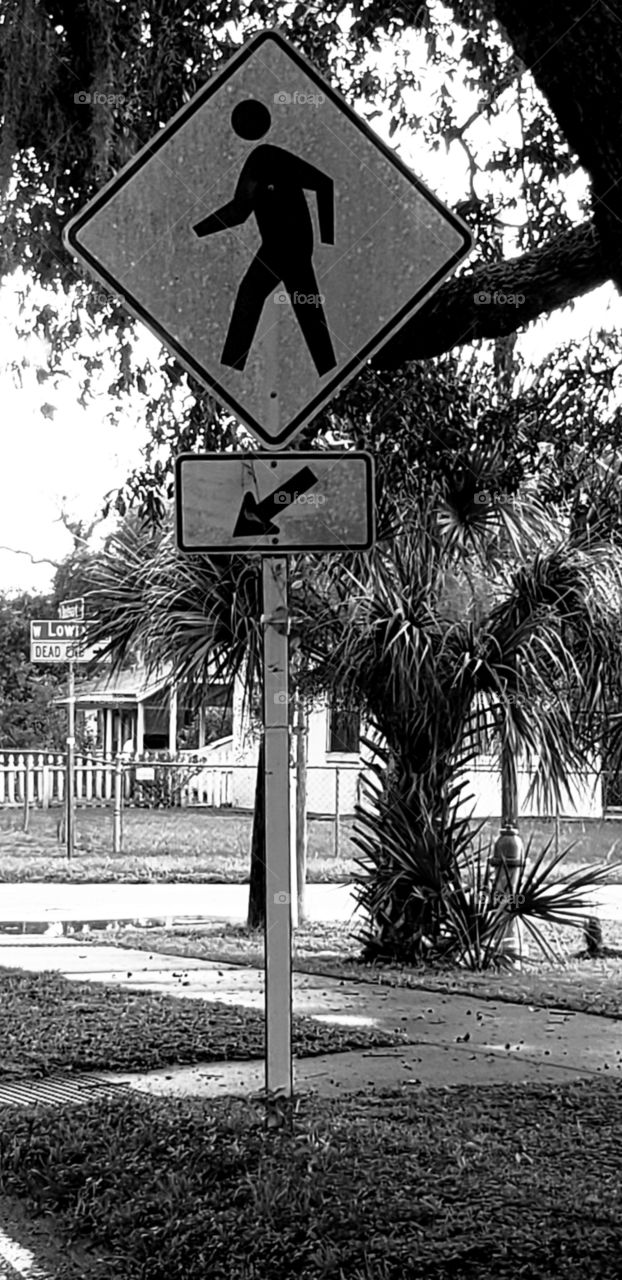 crosswalk  sign house street