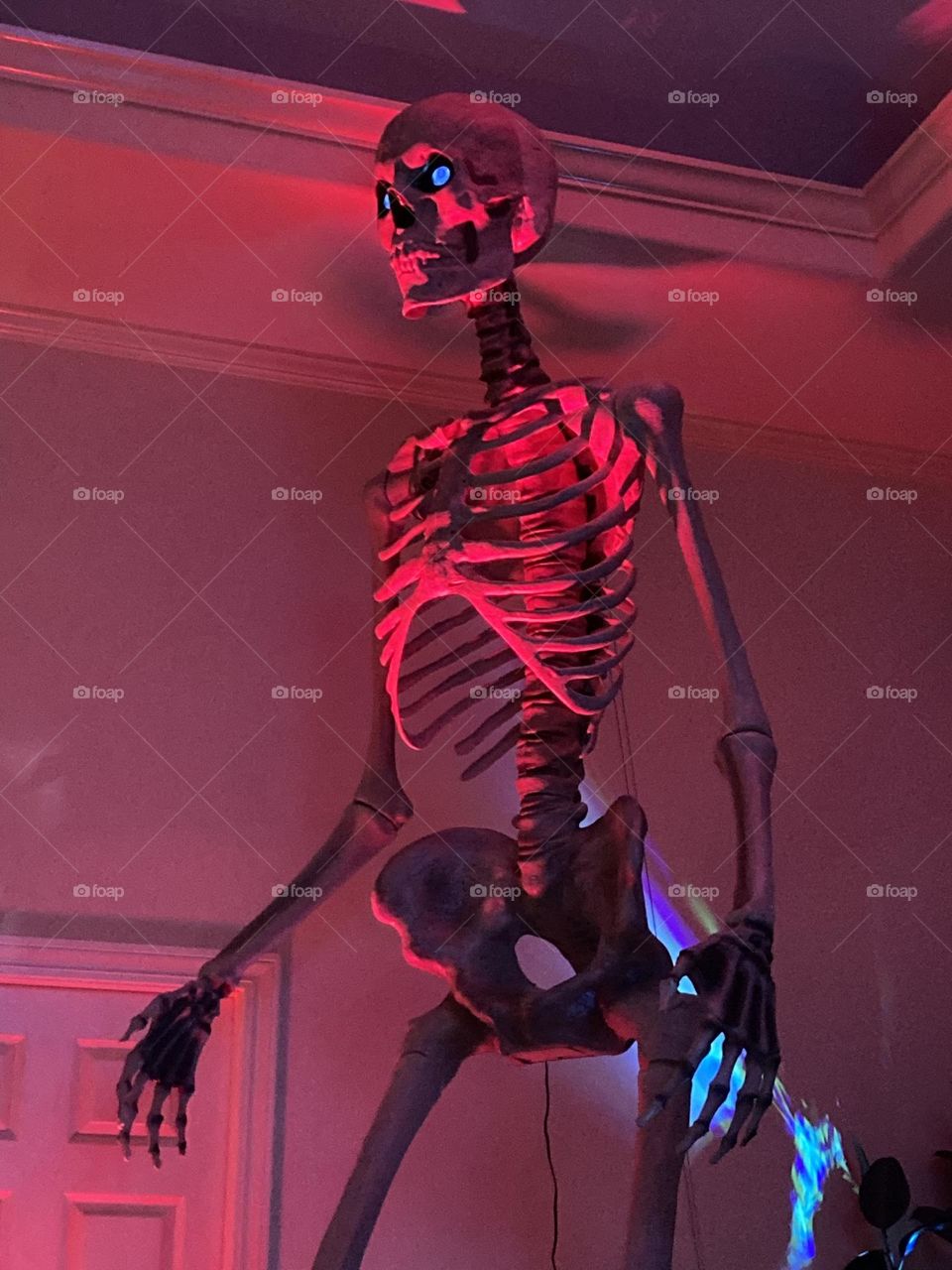 Colossal Skeleton