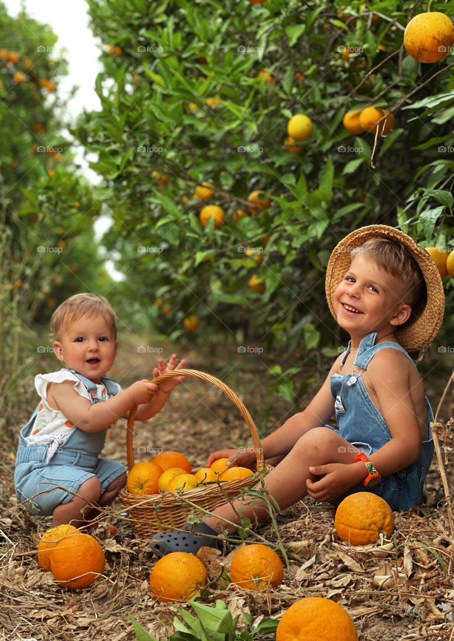 Brother and sister in orange orchard in Portugal .Smiling kids .Summertime in Portugal .Orange trees