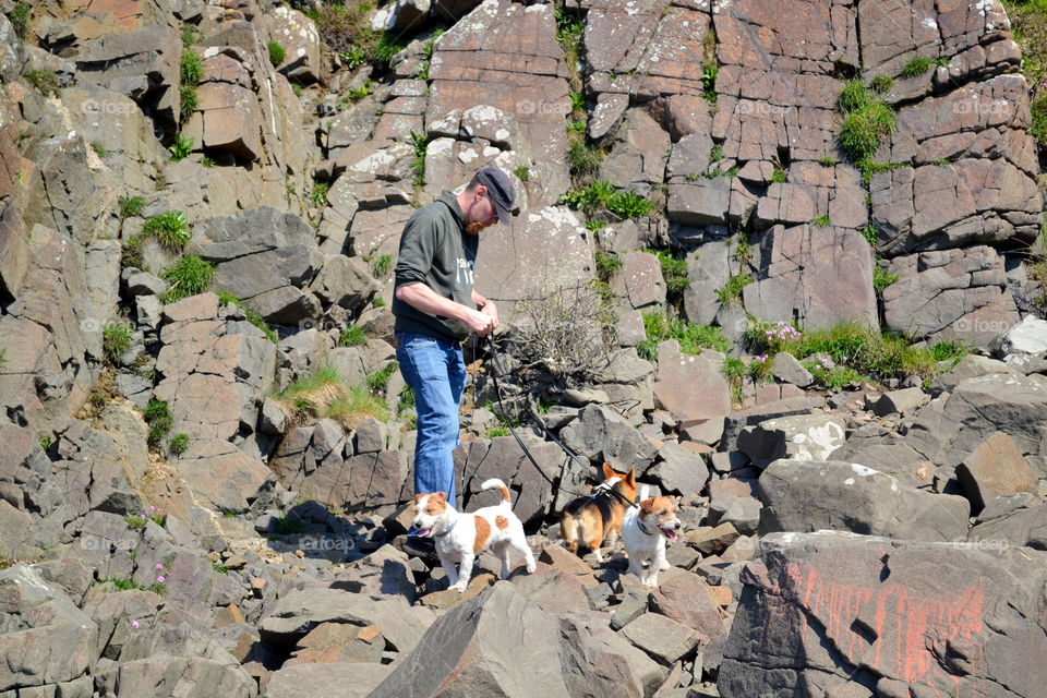 Man and dogs out on hiking