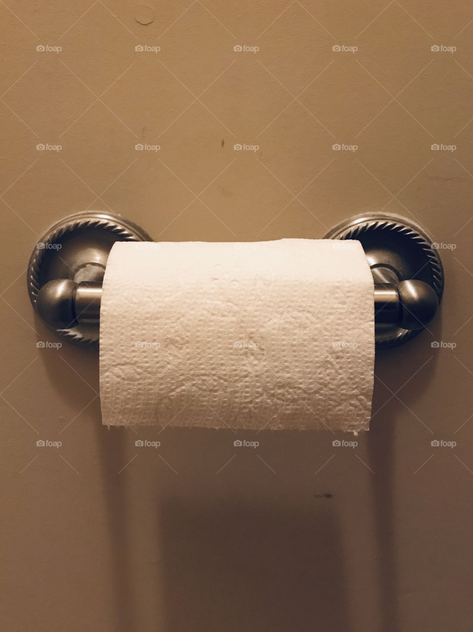 Still Life: Toilet Paper