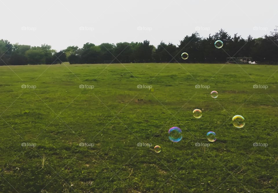 Colorful Bubbles Blowing Across a Green Field