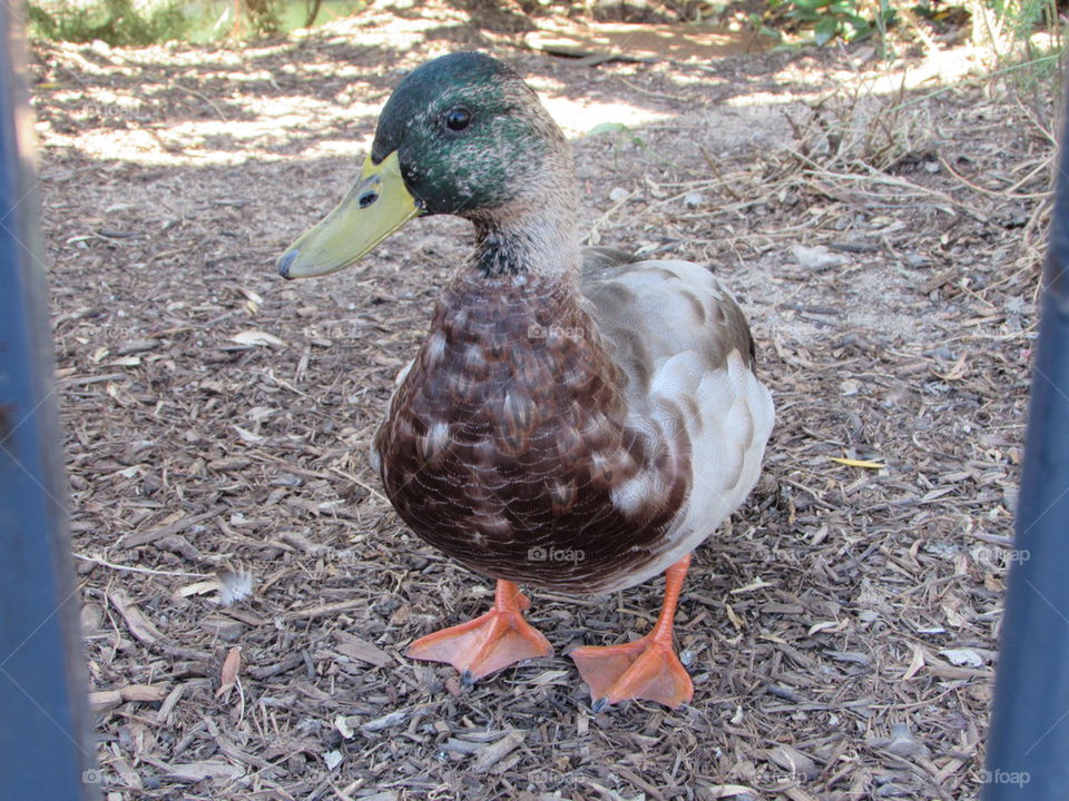 yes, how may I help you?