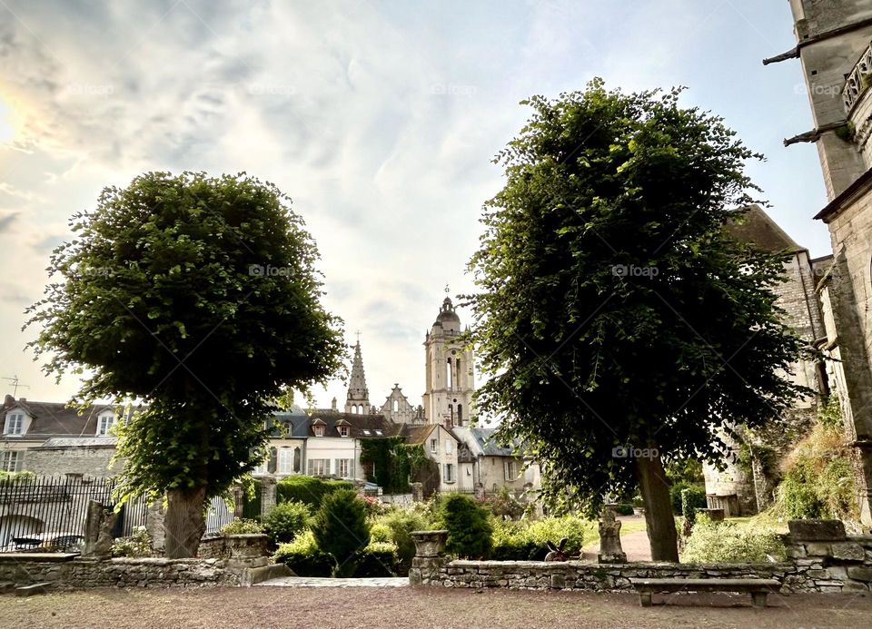 Senlis , jardin de la Cathédrale Junes 2023 . 