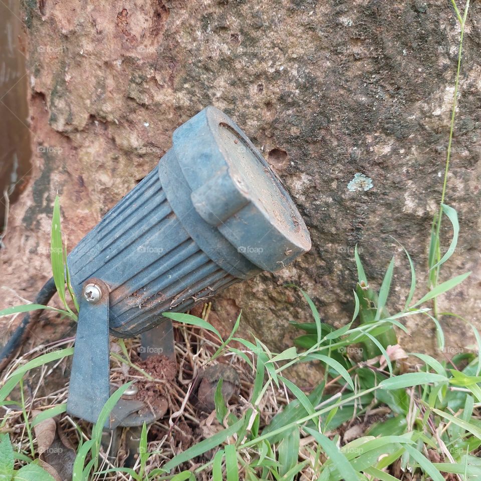 garden lights mounted on tree trunks