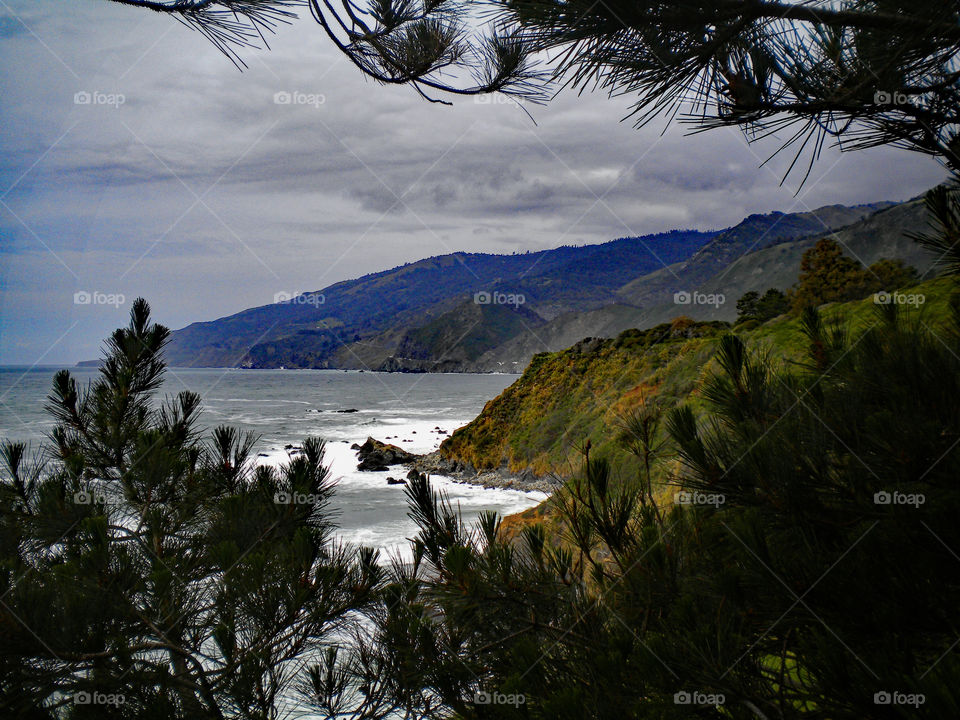 Scenic view of beach