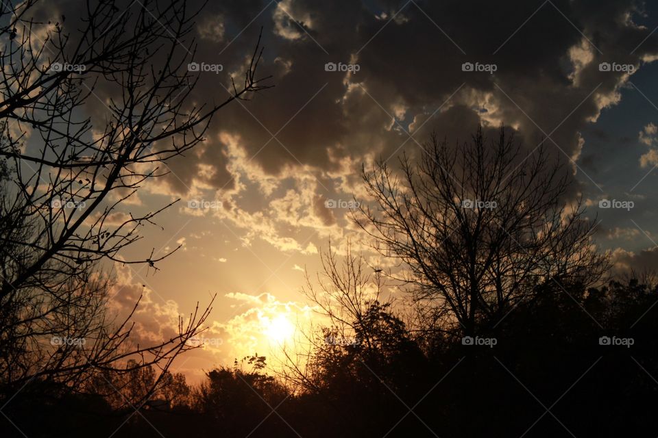 Gorgeous golden bright yellow sun is setting off in the distant horizon with silhouette of trees in the forefront! 