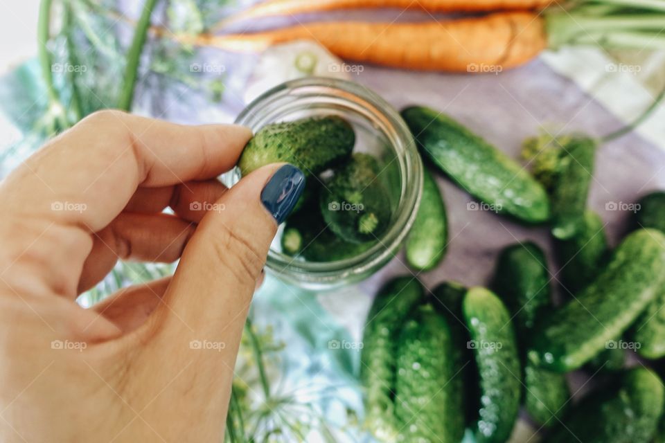 Women's hand holding cucumber