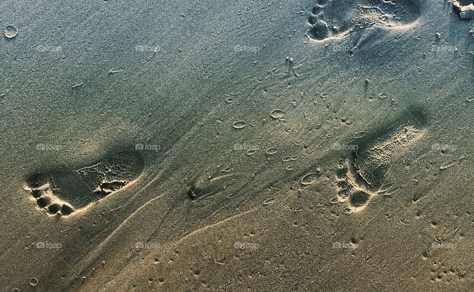 Footprints in the sand