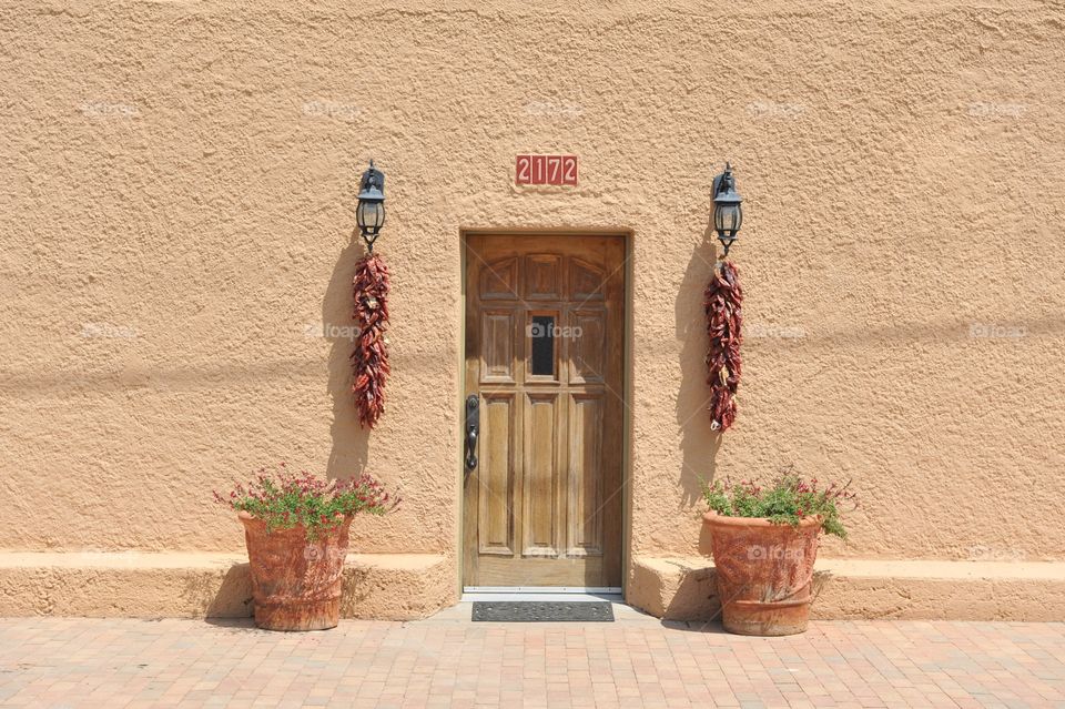 Entrance Door