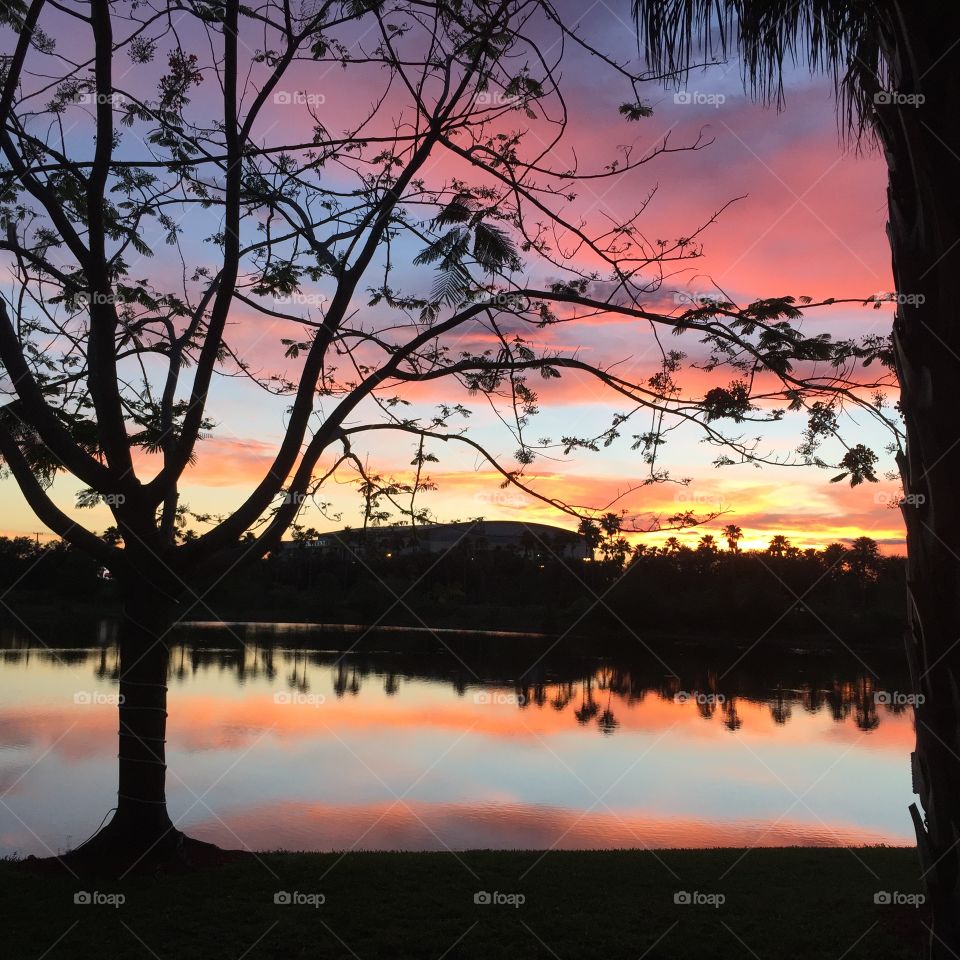 Tree, Water, Sunset, Reflection, Evening