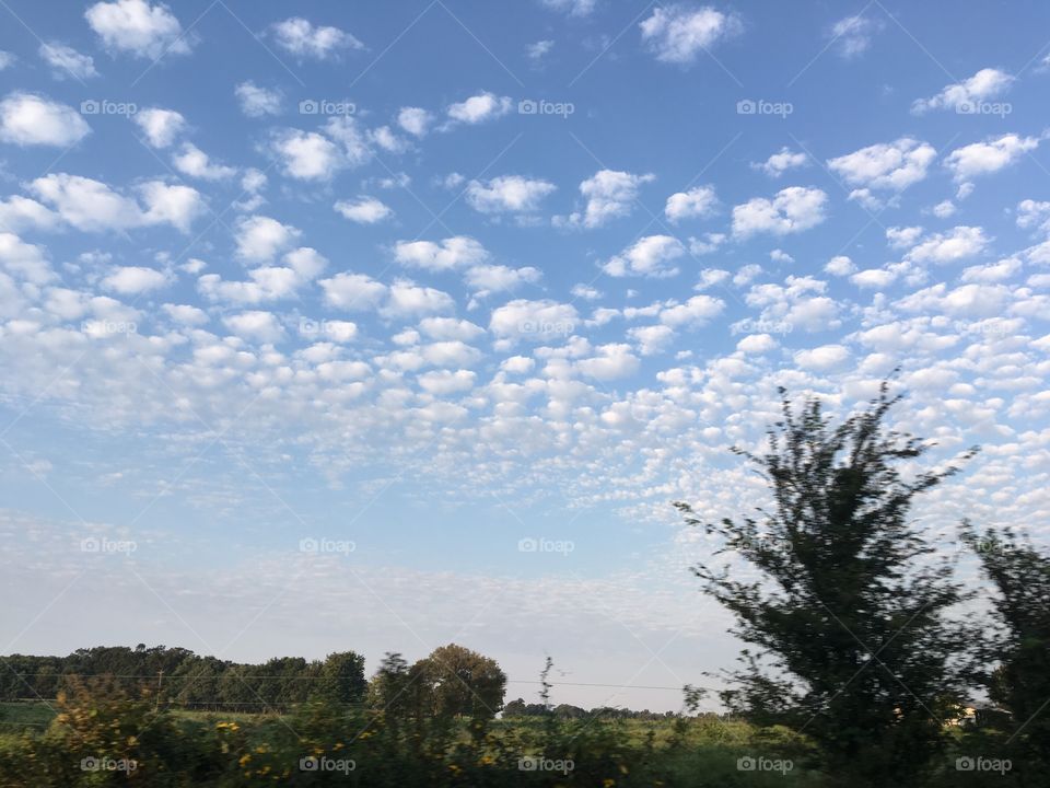  Yard sailing and admiring the cotton balls in the sky while driving down a country road.