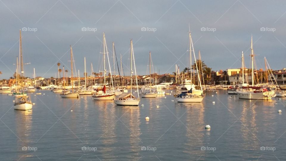 Sailboats in Newport Harbor Late Afternoon . The eternally gorgeous Newport Harbor 30 minutes before sunset. May 28, 2015