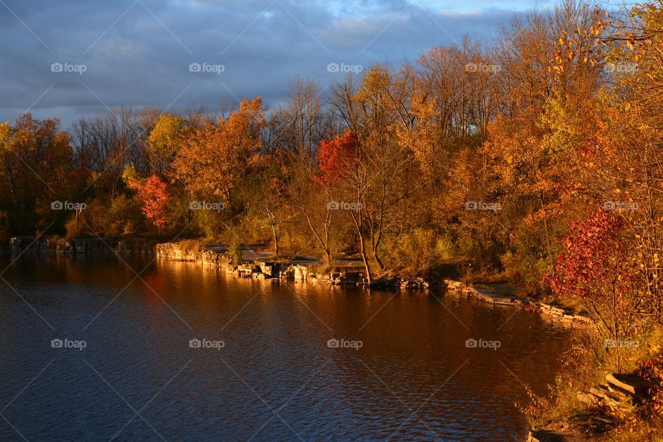 Fall in the falls