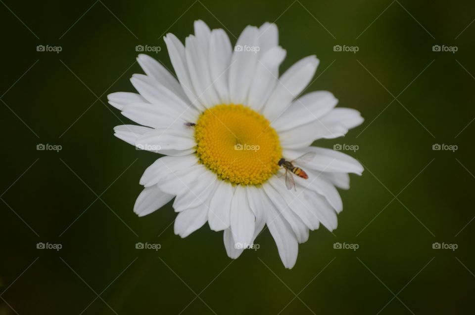 Romantic dinner for two... 💛💚