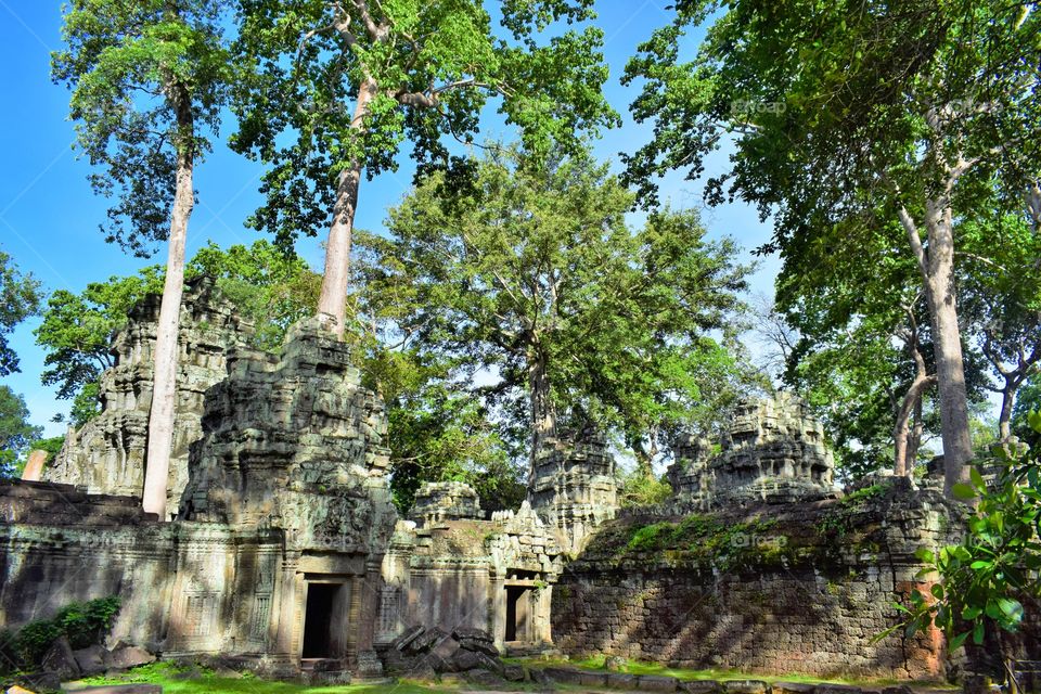 Ta Prohm