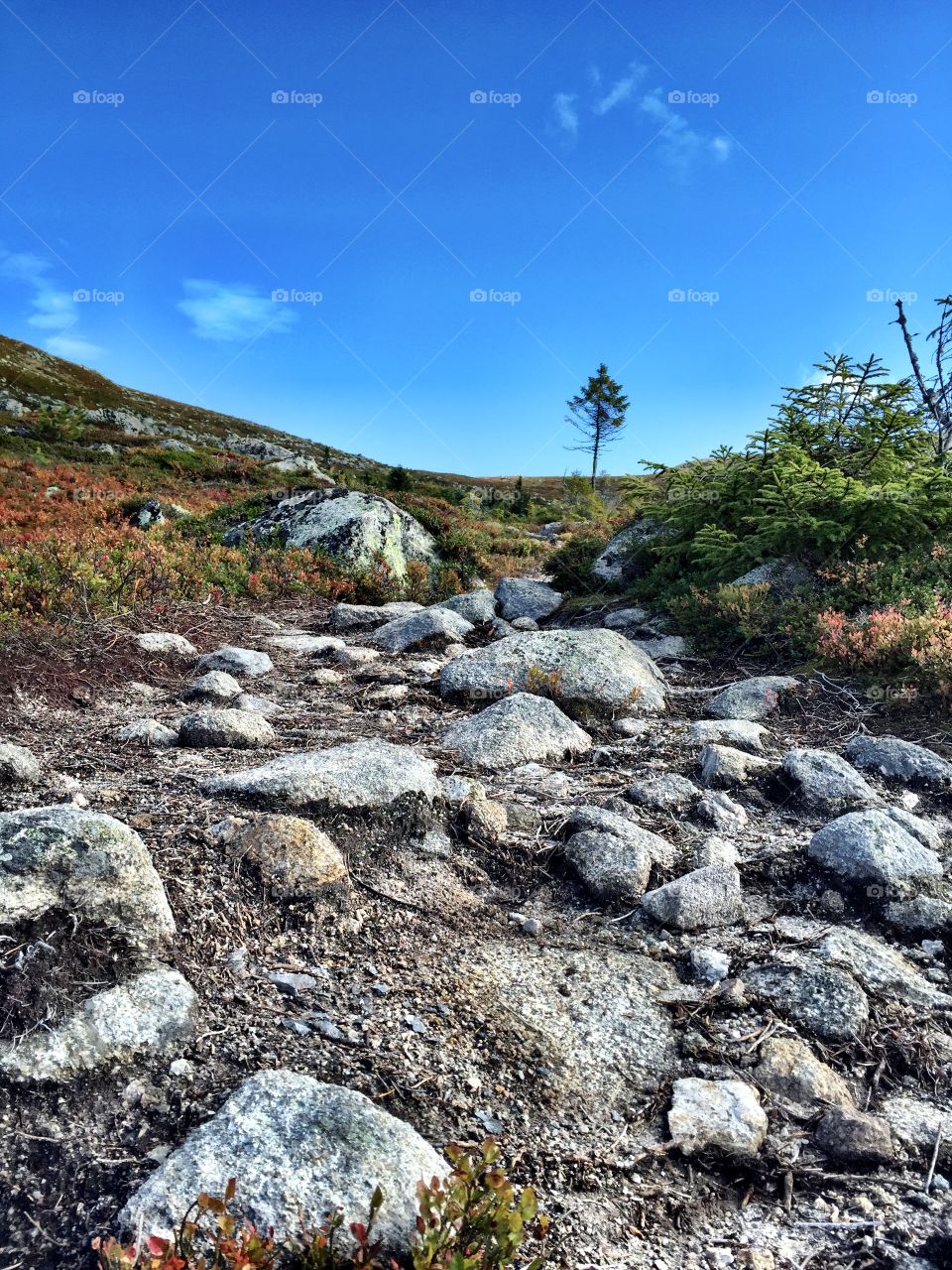 Hiking trail, Hallingdal. Hiking in the mountains of Norway