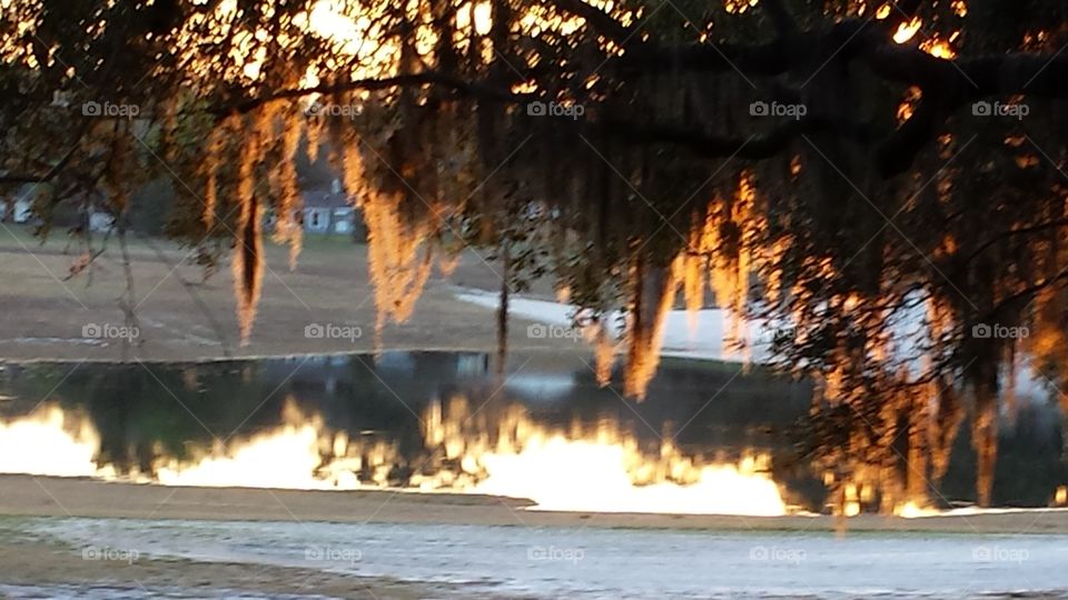 Sunset. sun setting in our back yard