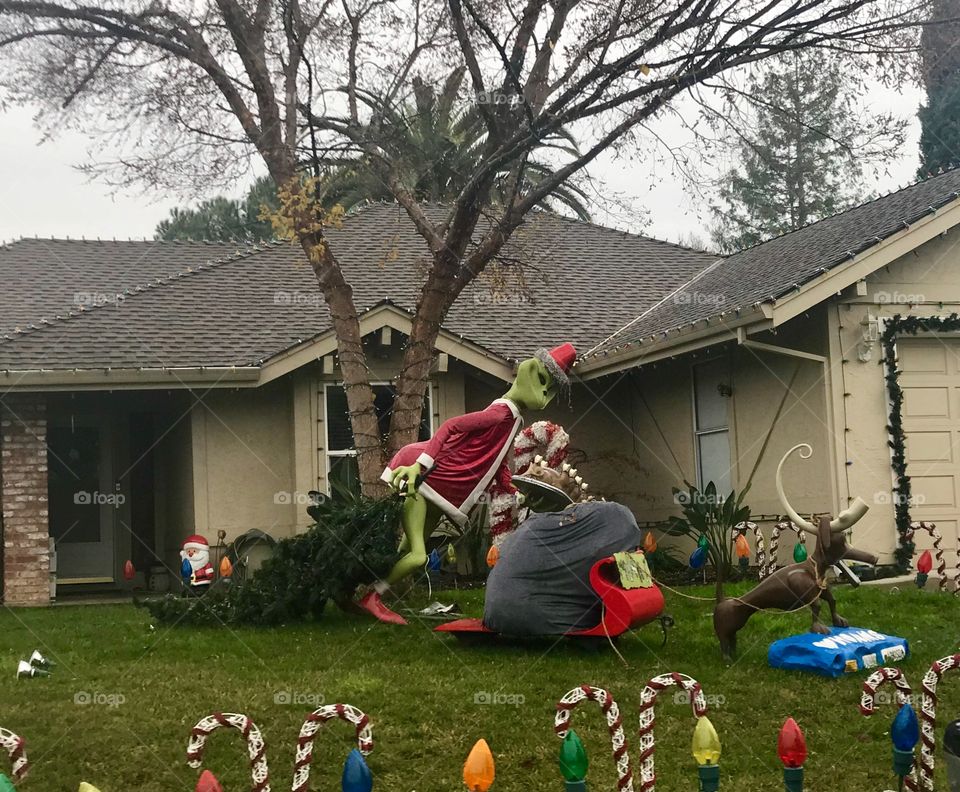 The grinch who stole Christmas displayed in a neighborhood with holiday lights in front of a home located in the USA, America. 