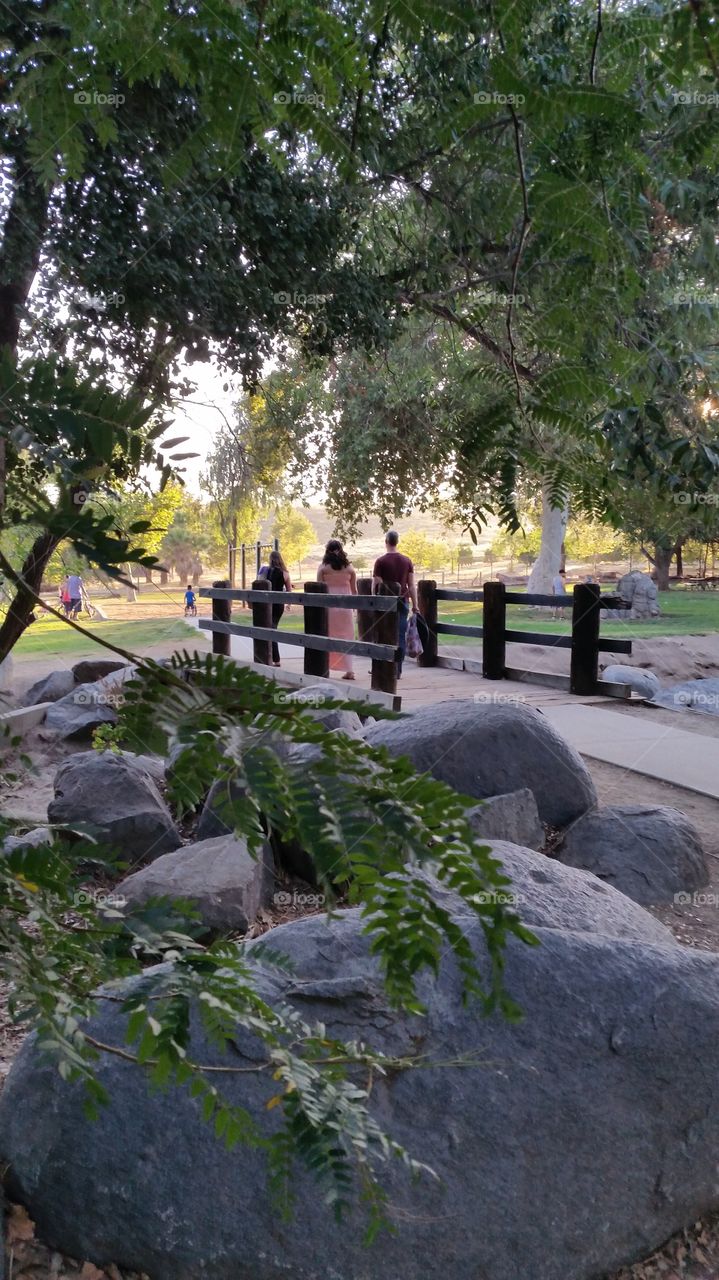 A Day in the Park Walking Across the Wooden Bridge