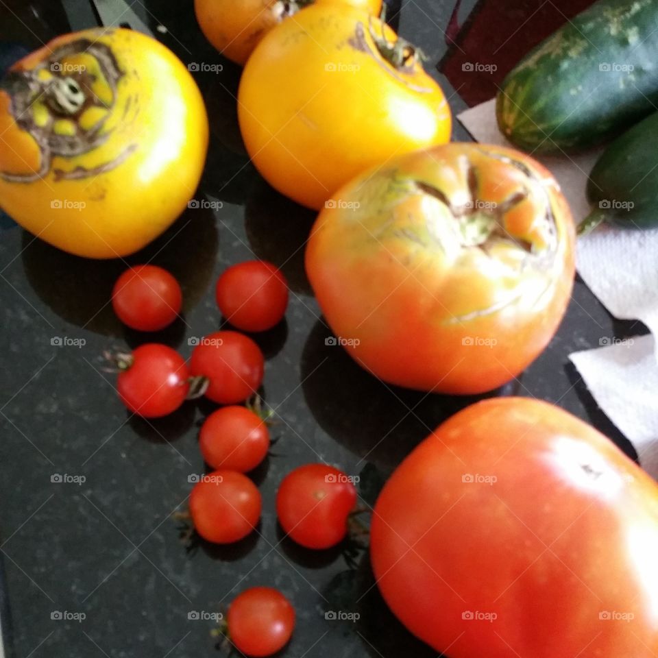Tomatoes!