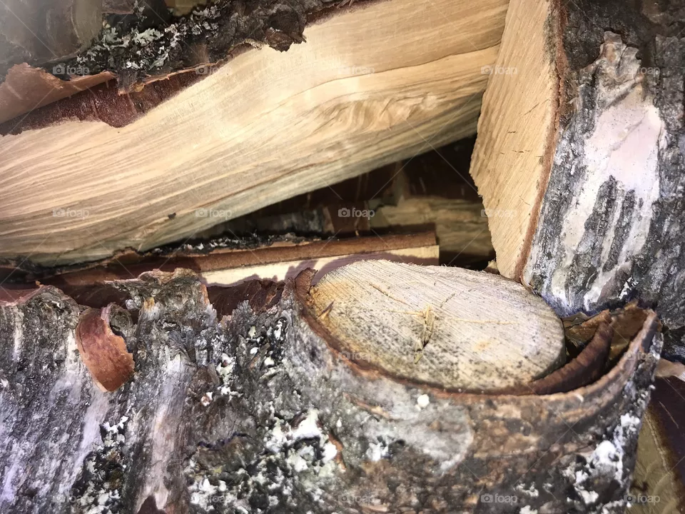 Wood