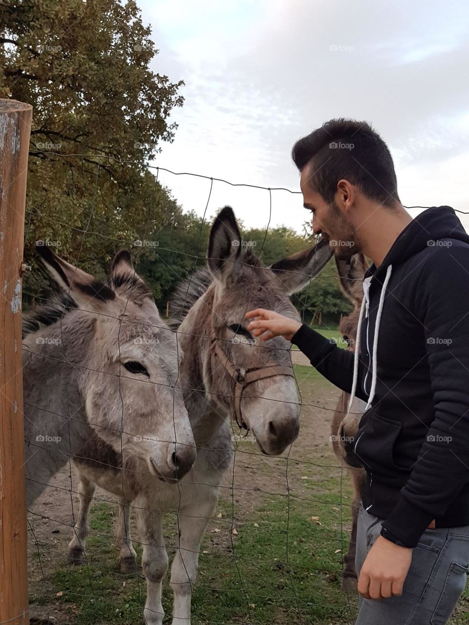 happy with donkeys