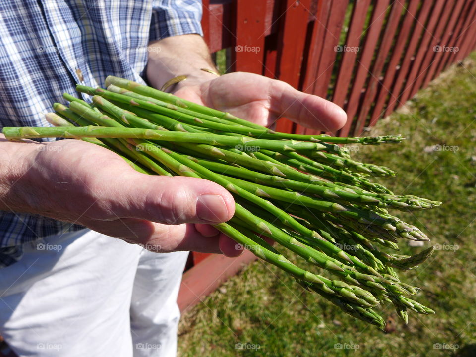 man holding bundle of asparagus with two hands