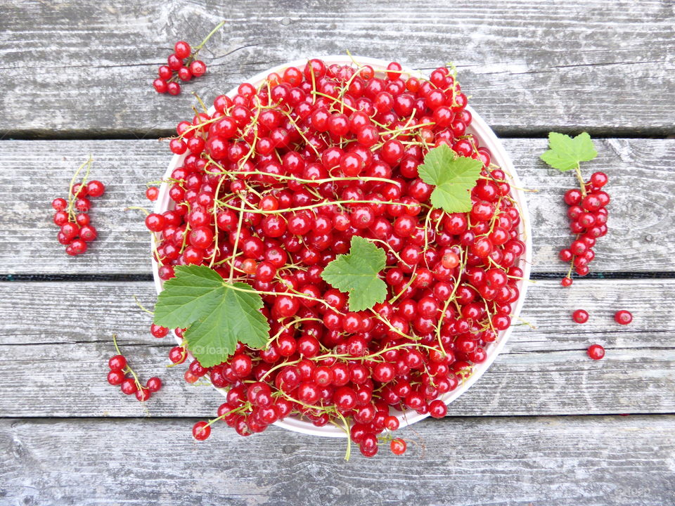 High angle view of red berry