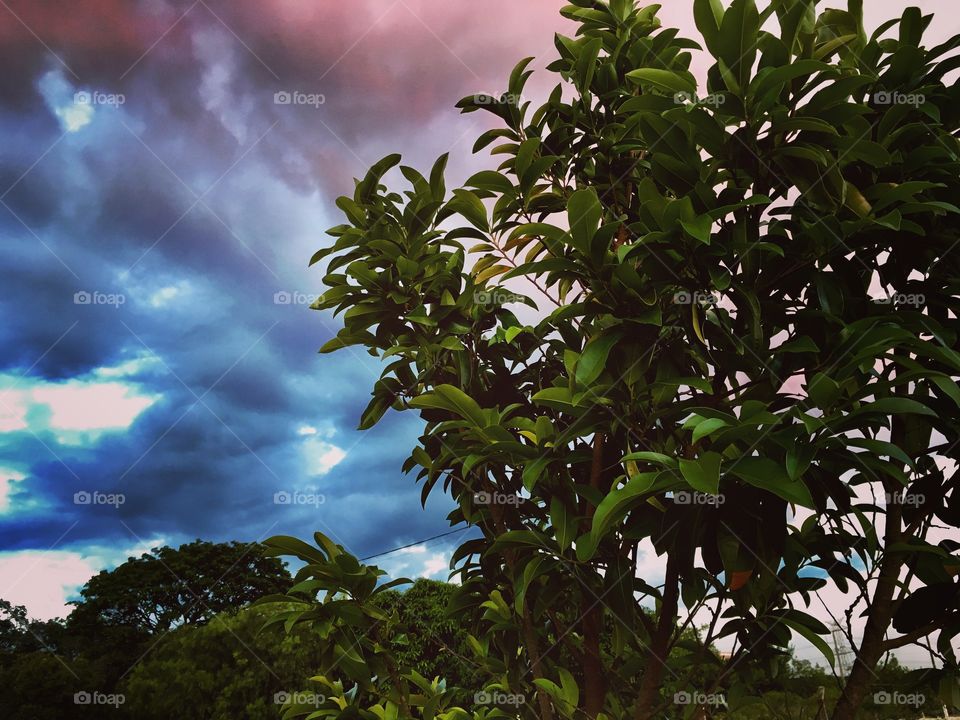 Depois da #chuva de 4a feira, o #céu colorido e nublado de 5a!
🍃
#sol #sun #sky #photo #nature #morning #alvorada #natureza #horizonte #fotografia #pictureoftheday #paisagem #inspiração #amanhecer #mobgraphy #mobgrafia #Jundiaí