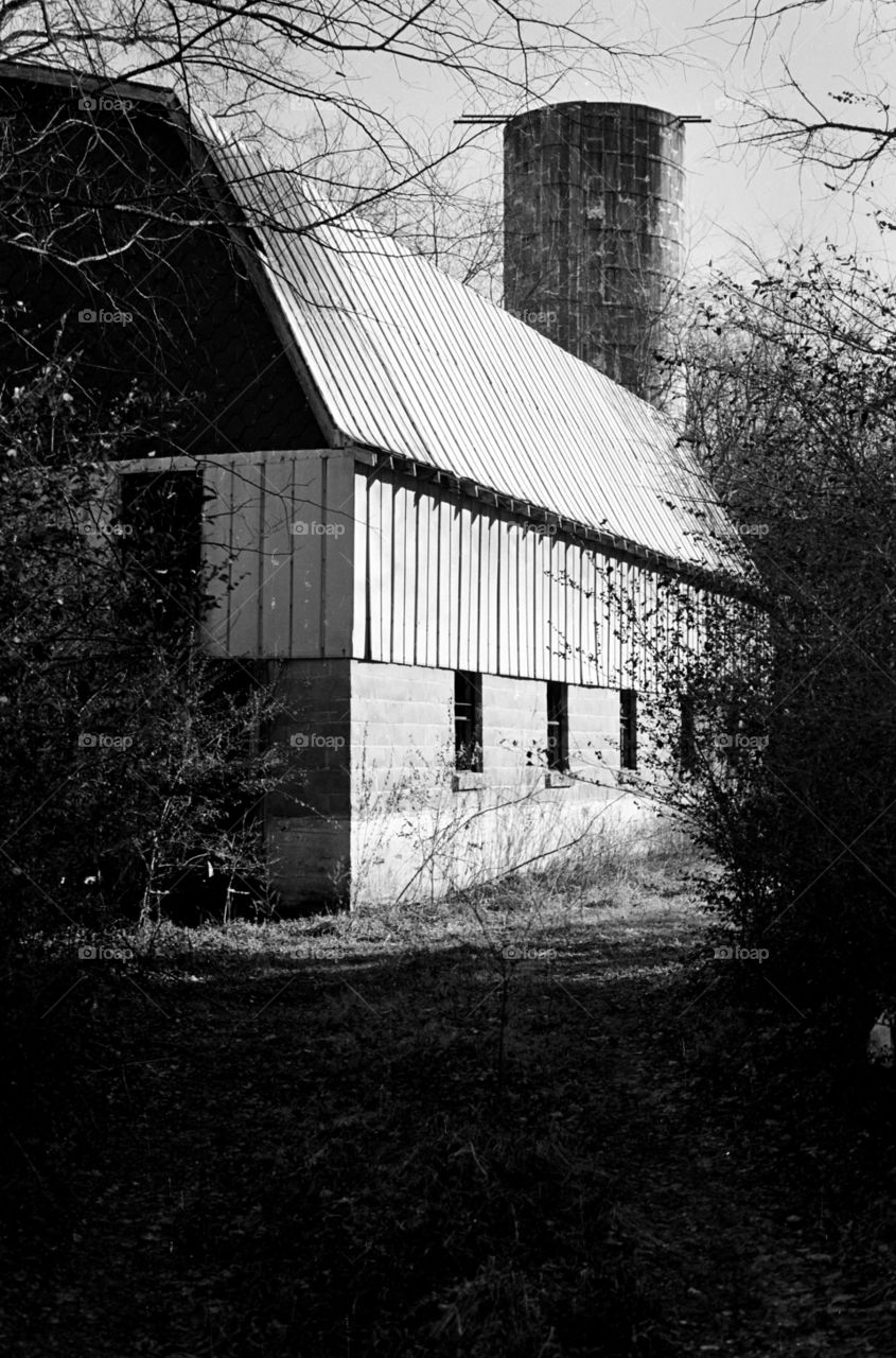 Barn in woods black and white