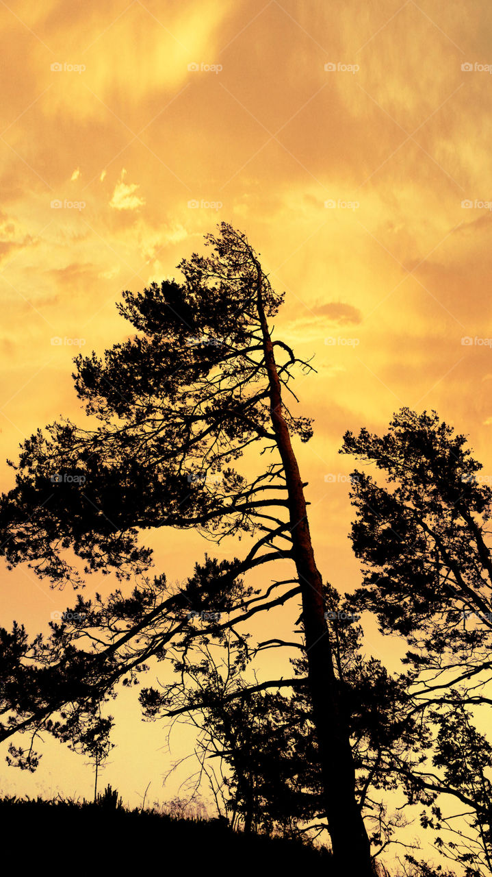 Grundsund 5. west coast of Sweden.