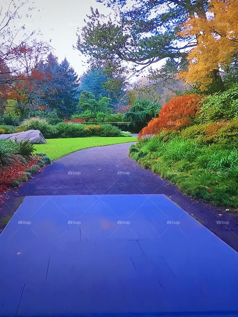 Washington Park in Autumn 