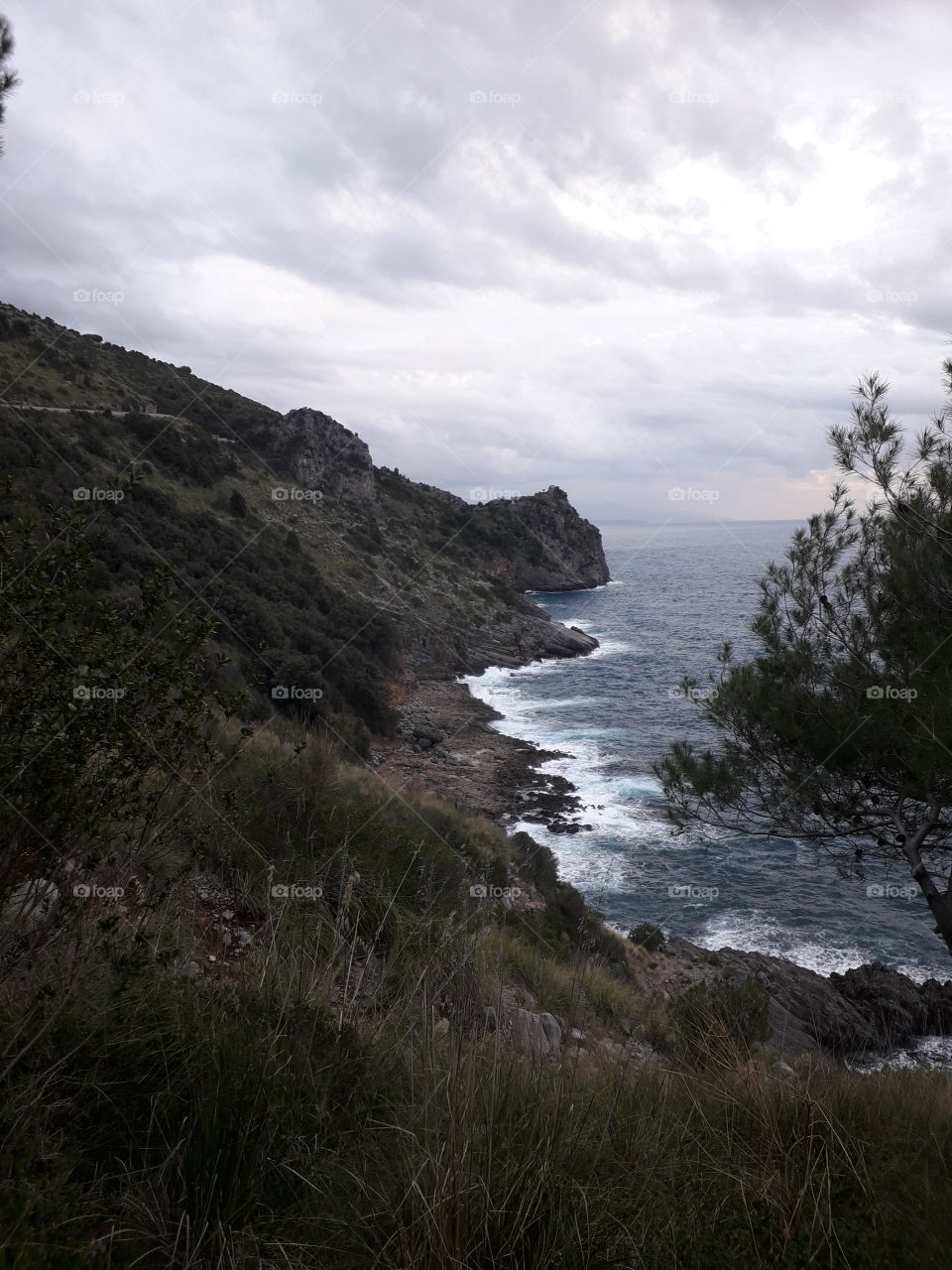 "Sentiero" 🇮🇹 Sapri (SA)